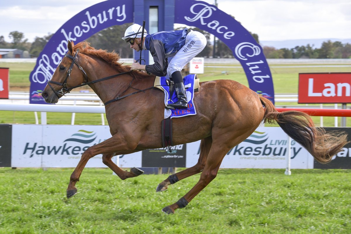 hawkesburyrc's tweet photo. #Undoubted provides an impressive run to win R1 PINK FINSS 10TH ANNIVERSARY CLASS 1 HANDICAP for @jason1coyle and Sam Clipperton
๐ธ@bradley_photos https://t.co/u2713NlsPr