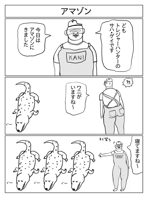 アマゾン 