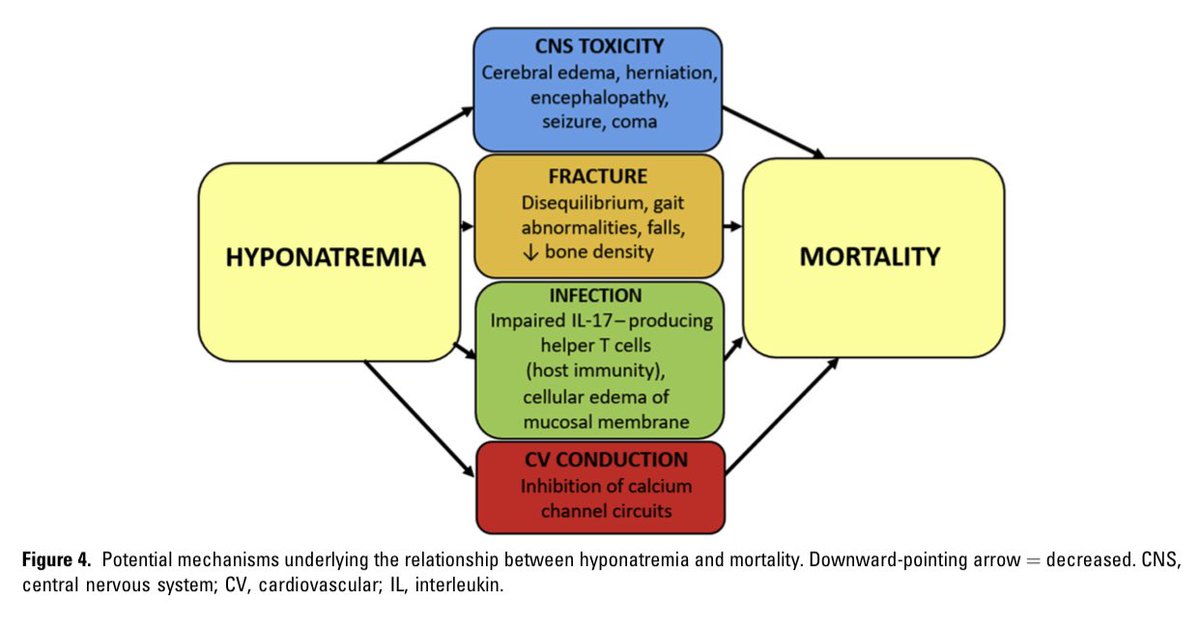 edgarvlermamd's tweet photo. Hyponatremia in ESKD ca. 2019 from @KIReports @kamkalantar #Nephpearls
👉🏼 https://t.co/p9HNEdYLue https://t.co/qeOdr3vuDj