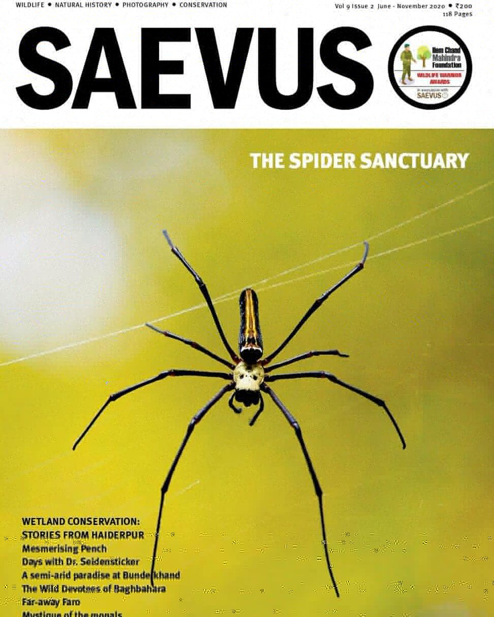 SaevusWildlife's tweet photo. Get your digital copy now
Saevus Wildlife: https://t.co/gMV57q12u6
Magzter : https://t.co/1jBI06mLjm
Readwhere : https://t.co/DDYiySoZyg
#Saevus #saevusmagazine #birdsmagazine #wildlife #september2020 #magzter #digital #digitalmagazine #magazine #magazinedesign #magazineart https://t.co/vGsXpAhLhM