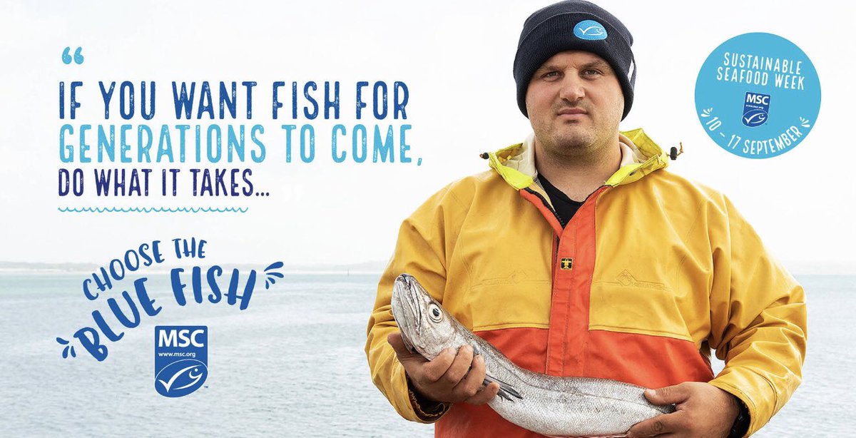 #sustainableseafoodweek starts today.. #choosethebluefish Part of a #multimedia #campaign for #marinestewardshipcouncil #msc