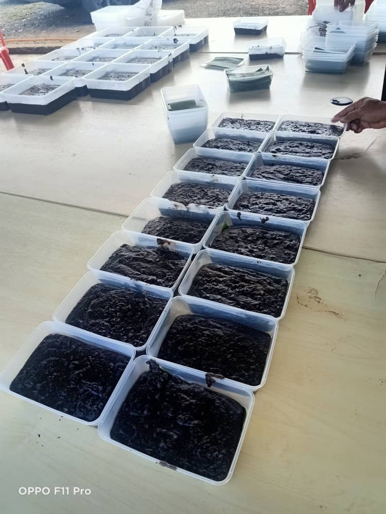 *MAJLIS ASYURA 2020* BAGI PROJEK MENYIAPKAN JALAN RAYA SIMPANG PULAI – LOJING – GUA
MUSANG – KUALA BERANG, PAKEJ 6A :  DARI  ARING  KE
SEMPADAN KELANTAN / TERENGGANU