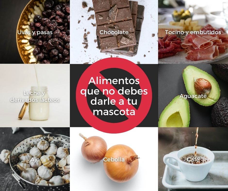 Dinbeat Home Devices tweet media