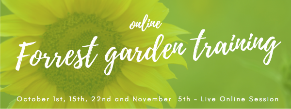 🌳 Trainingen in oktober | courses in October 🌳 - mailchi.mp/ba4324ee12c7/t…