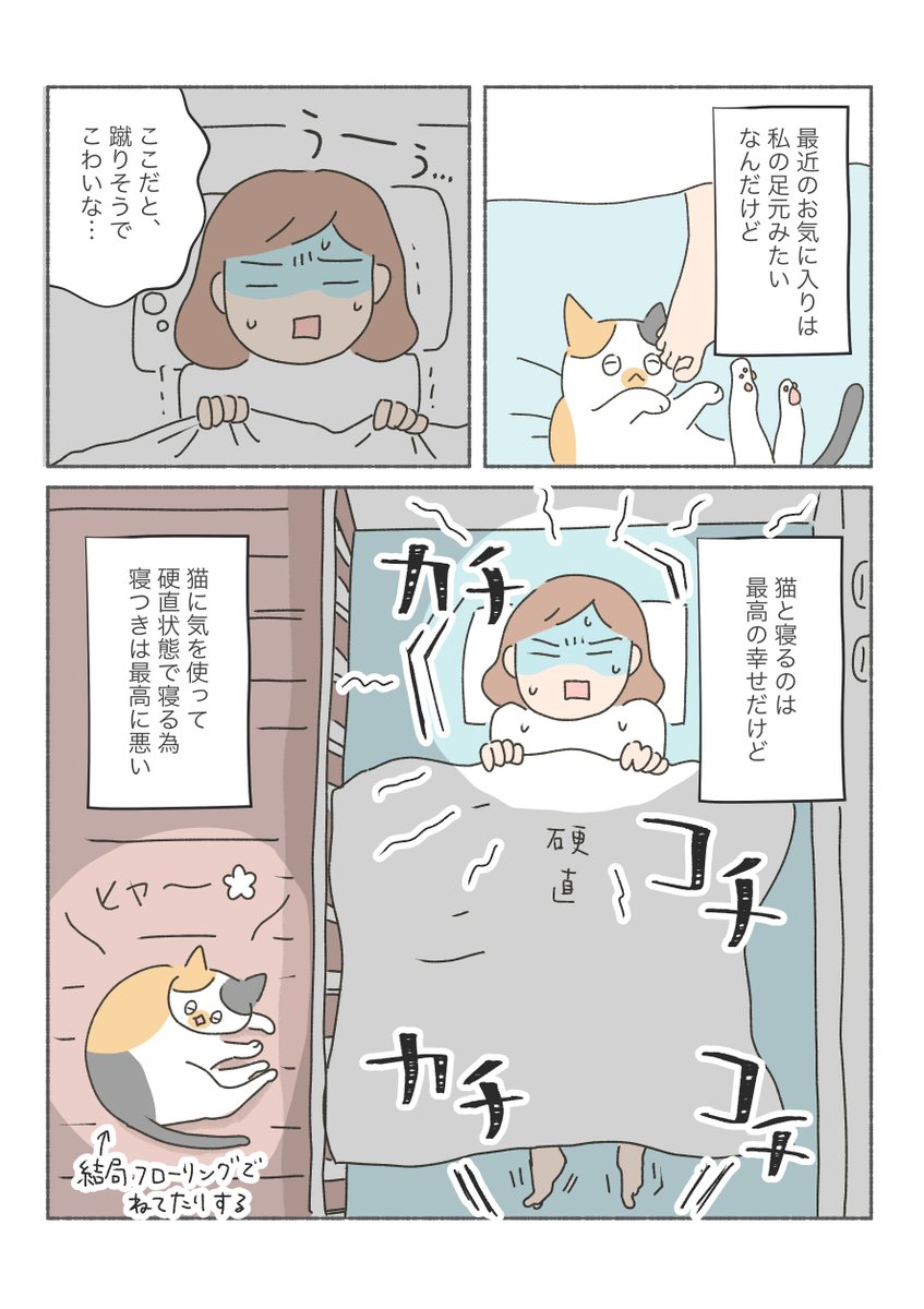 三毛猫しらす漫画

「ネコと寝る」という幸せを得るために、全てを犠牲にするスタイル。 