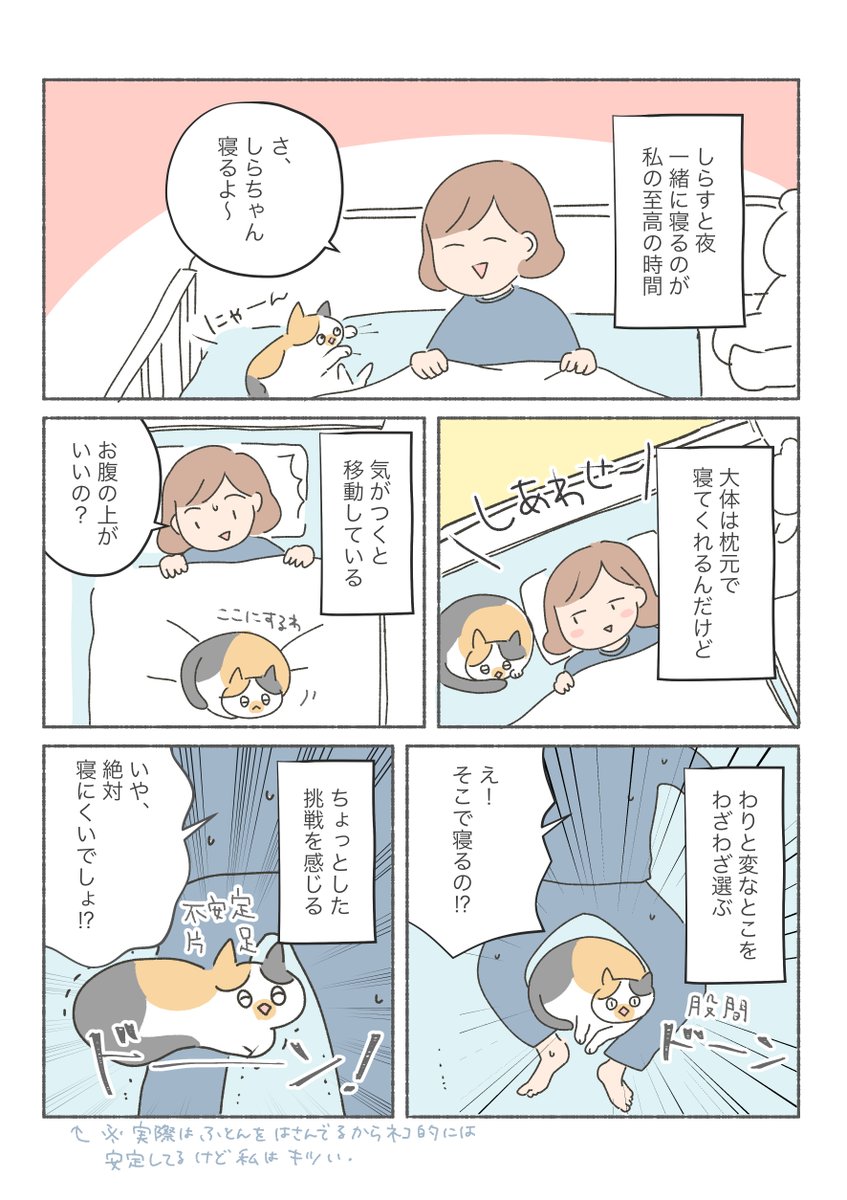 三毛猫しらす漫画

「ネコと寝る」という幸せを得るために、全てを犠牲にするスタイル。 