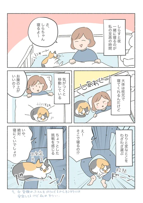 三毛猫しらす漫画

「ネコと寝る」という幸せを得るために、全てを犠牲にするスタイル。 