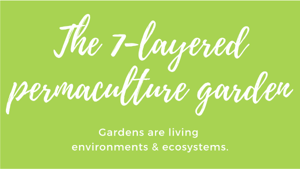#permacultuur 'tuin'cursus in #oktober 🌳 - mailchi.mp/d8f036912873/p…