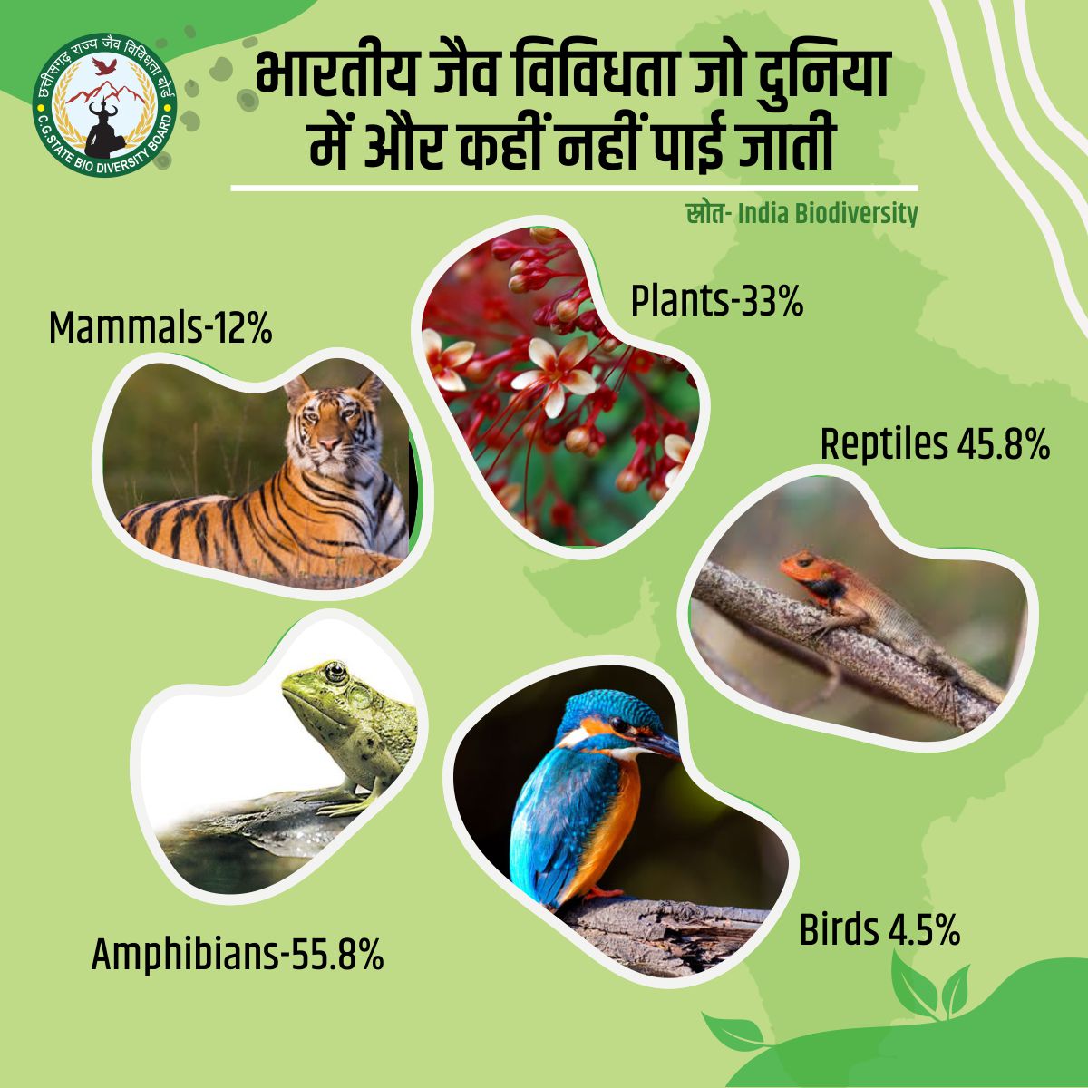 CGBiodiversity's tweet photo. भारत में विभिन्न प्रकार के जीव जंतु, पेड़ पौधें  पाए जातें है. हर एक जीव का हमारे पर्यावरण में एक अहम् स्थान है, हमें इन्हें संरक्षित करने की हर मुमकिन कोशिश करनी चाहिए और लोगों को इसके बारे में जागरूक करना चाहिए.
#Biodiversity #species #Conserve #conservebidiversity https://t.co/LMtKwadHzy