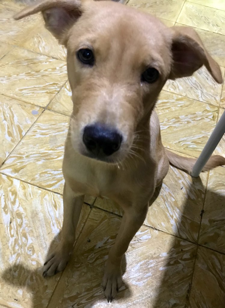 Isa Avendaño-Umali tweet media