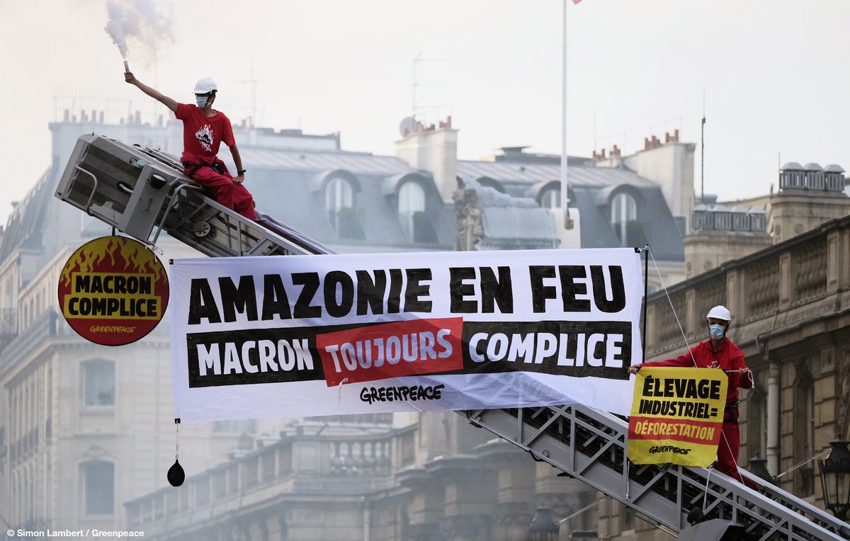[ACTION] Stop aux importations qui détruisent l’#Amazonie !
L’an dernier, <a href="/EmmanuelMacron/">Emmanuel Macron</a> promettait de lutter contre la déforestation. Depuis ? Aucune mesure concrète. Nous bloquons un accès à l’Élysée pour dénoncer l’hypocrisie d’Emmanuel Macron et l’appeler à agir. #JeudiPhoto