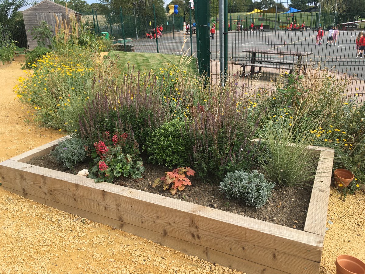 Edgebury Primary School tweet media