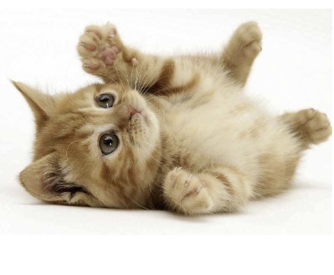 Superschattig. 😍