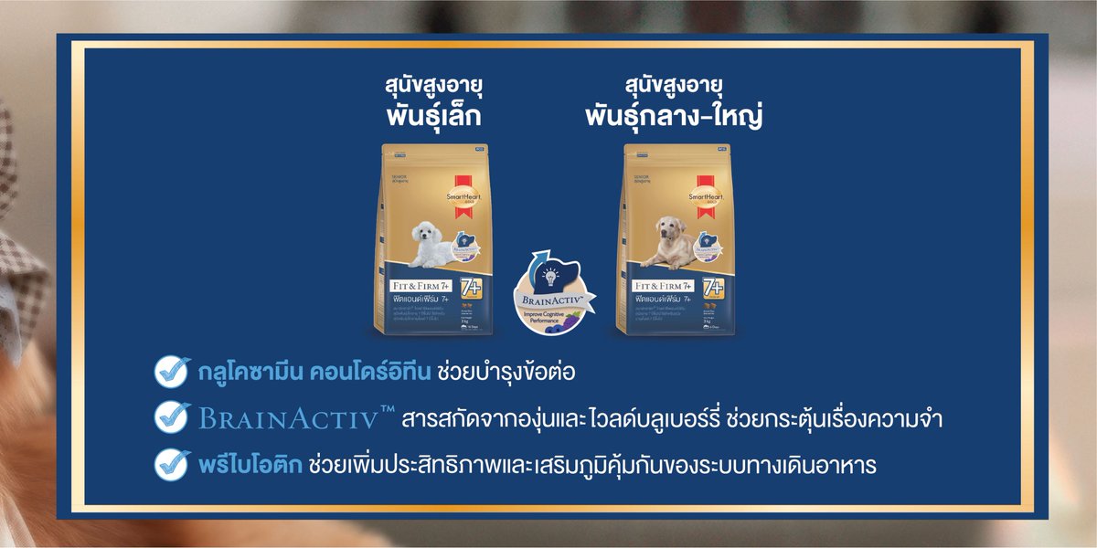 TH_SmartHeart's tweet photo. 𝐒𝐦𝐚𝐫𝐭𝐇𝐞𝐚𝐫𝐭 𝐆𝐨𝐥𝐝 สูตร 𝐅𝐢𝐭&amp;𝐅𝐢𝐫𝐦 7+

สำหรับสุนัขสูงอายุ 7 ปี ขึ้นไปที่มีปัญหากระดูกข้อต่อไม่แข็งแรง และประสิทธิภาพความจำลดลง

✔️กลูโคซามีน บำรุงข้อต่อ
✔️ʙʀᴀɪɴᴀᴄᴛɪᴠ กระตุ้นเรื่องความจำ
✔️พรีไบโอติก เพิ่มประสิทธิภาพของระบบทางเดินอาหาร

📍 Petshop และห้างต่างๆ https://t.co/l6pNSE5t1K