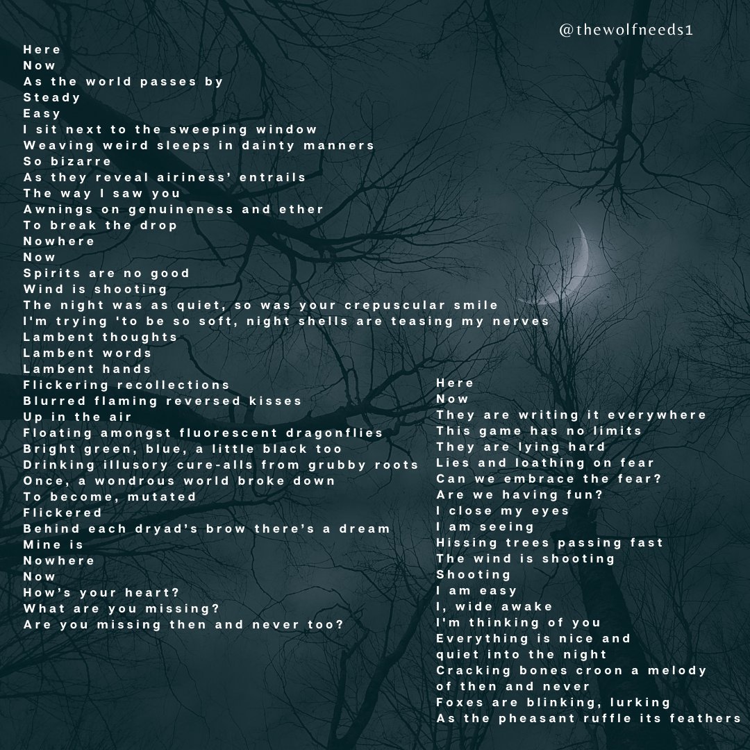 Thewolfneeds1's tweet photo. #poetry #Writer #amwriting #writer #amwriting #Poetry_Planet #indieauthors #Dark #feeling #love #poetryisnotdead #poetweet #poetrycorner #poetrybooks  #poetrylovers #art #artist #POEMS  #poetrywriter #love #poem #poetrycommunity #writing #art #Writer https://t.co/xIRpu23eHG