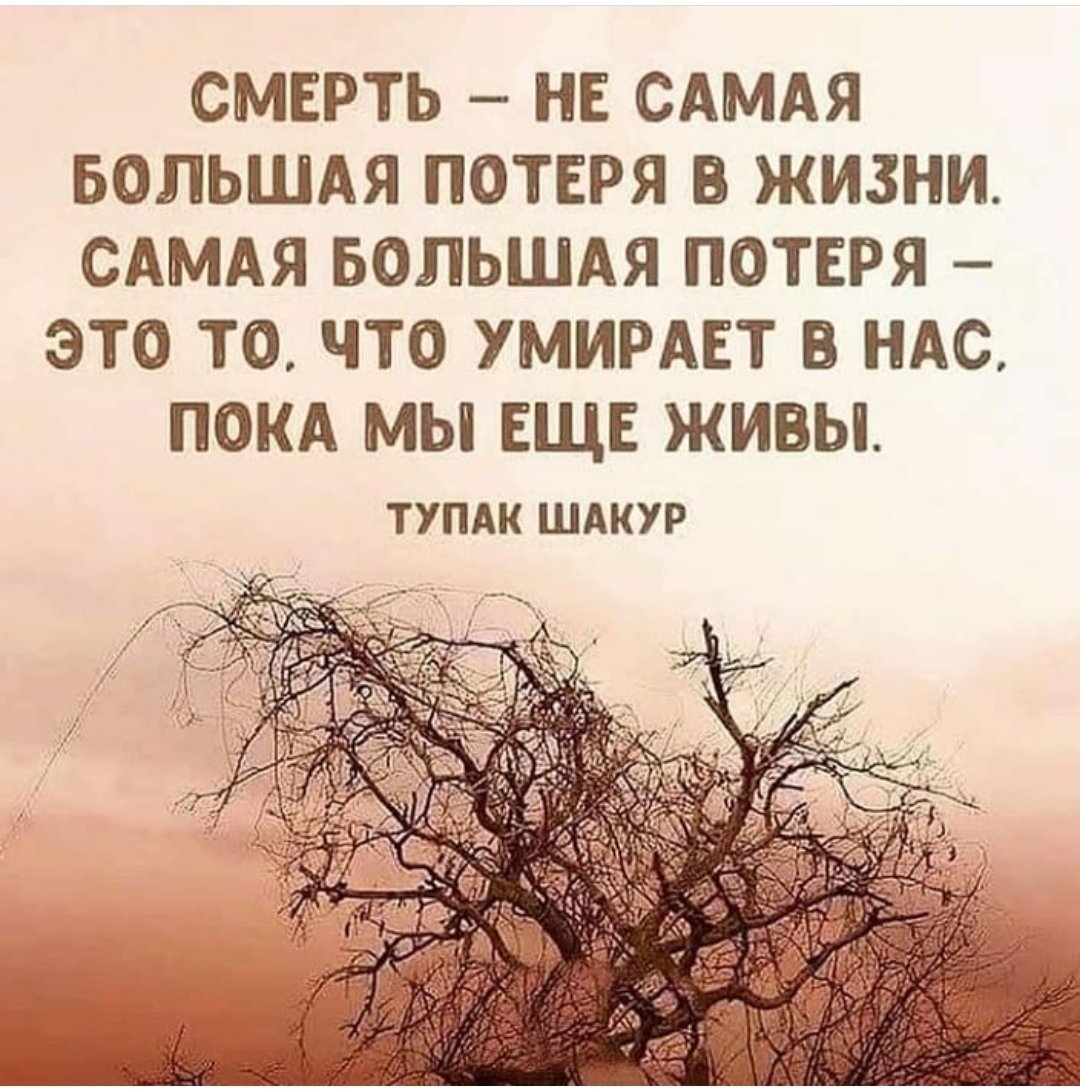 Статус вдовы