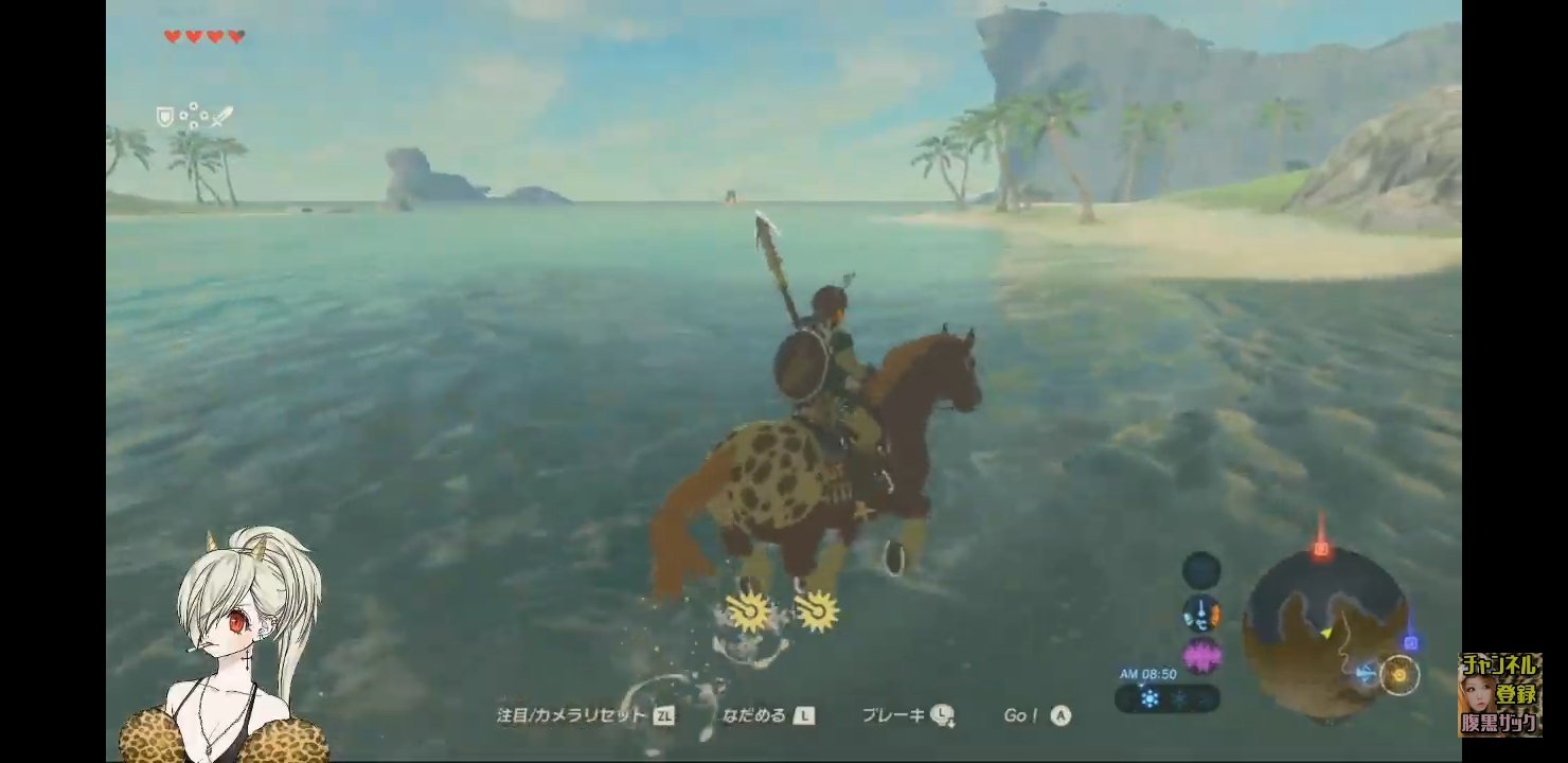 腹黒いザック ゼルダの伝説 私の馬の名前はリスナーの名前をつけていく 第一号はロビン 女の子ぽい馬見つけたらごまcoも乗り回す さて今後リスナーの誰が私の馬になるだろうか