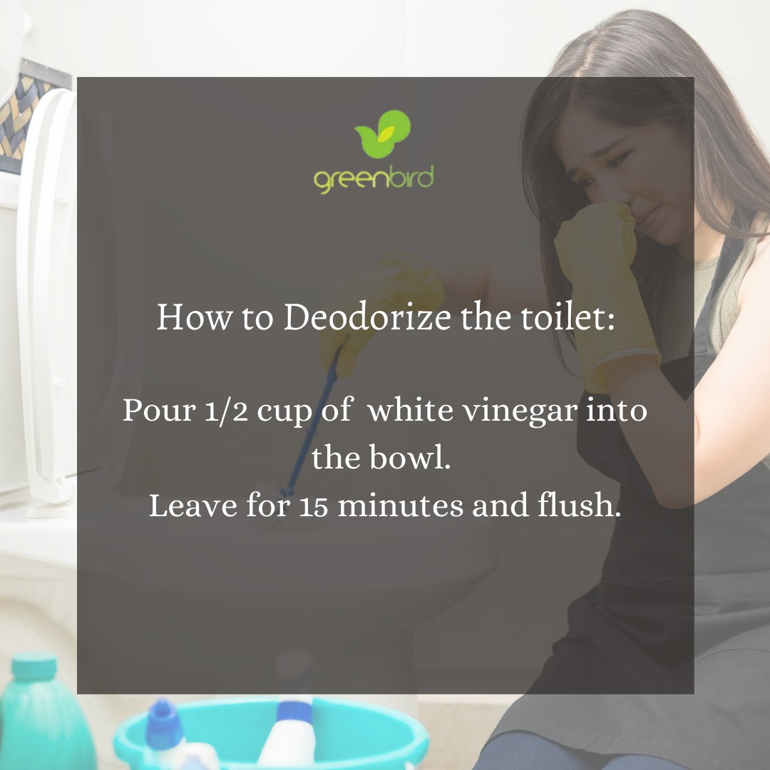 GBcleaning_ng's tweet image. Good morning clean Nigerians, give this a try and give us a feed back.
You can still call us on 09071825227 for Hire and Enquiries.
#WeCleanYouMakeMoney
#phcleaner
#phvalue
#greenclean
#GBcleaning