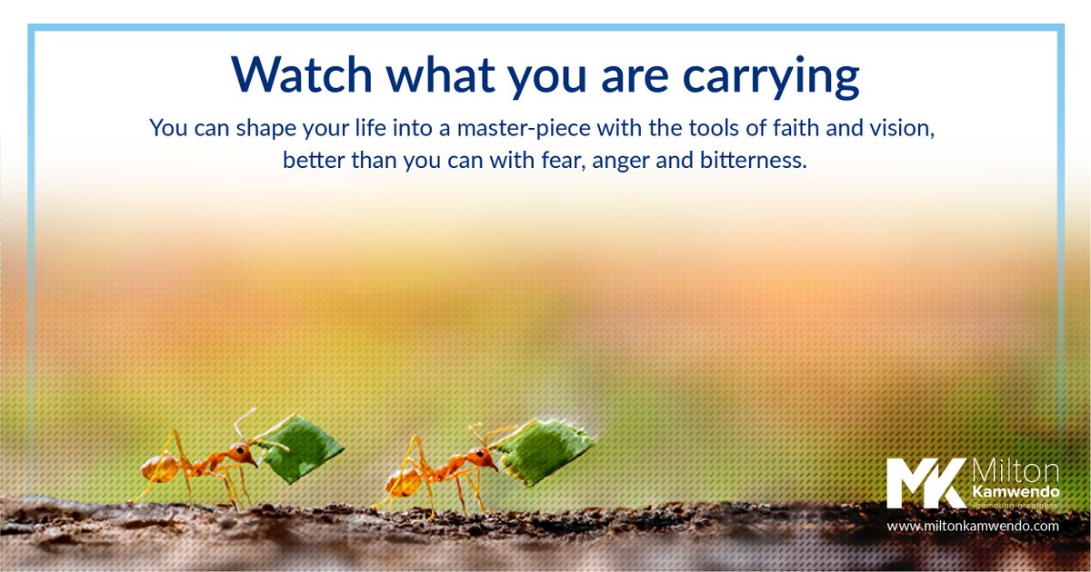 Milton Kamwendo tweet media