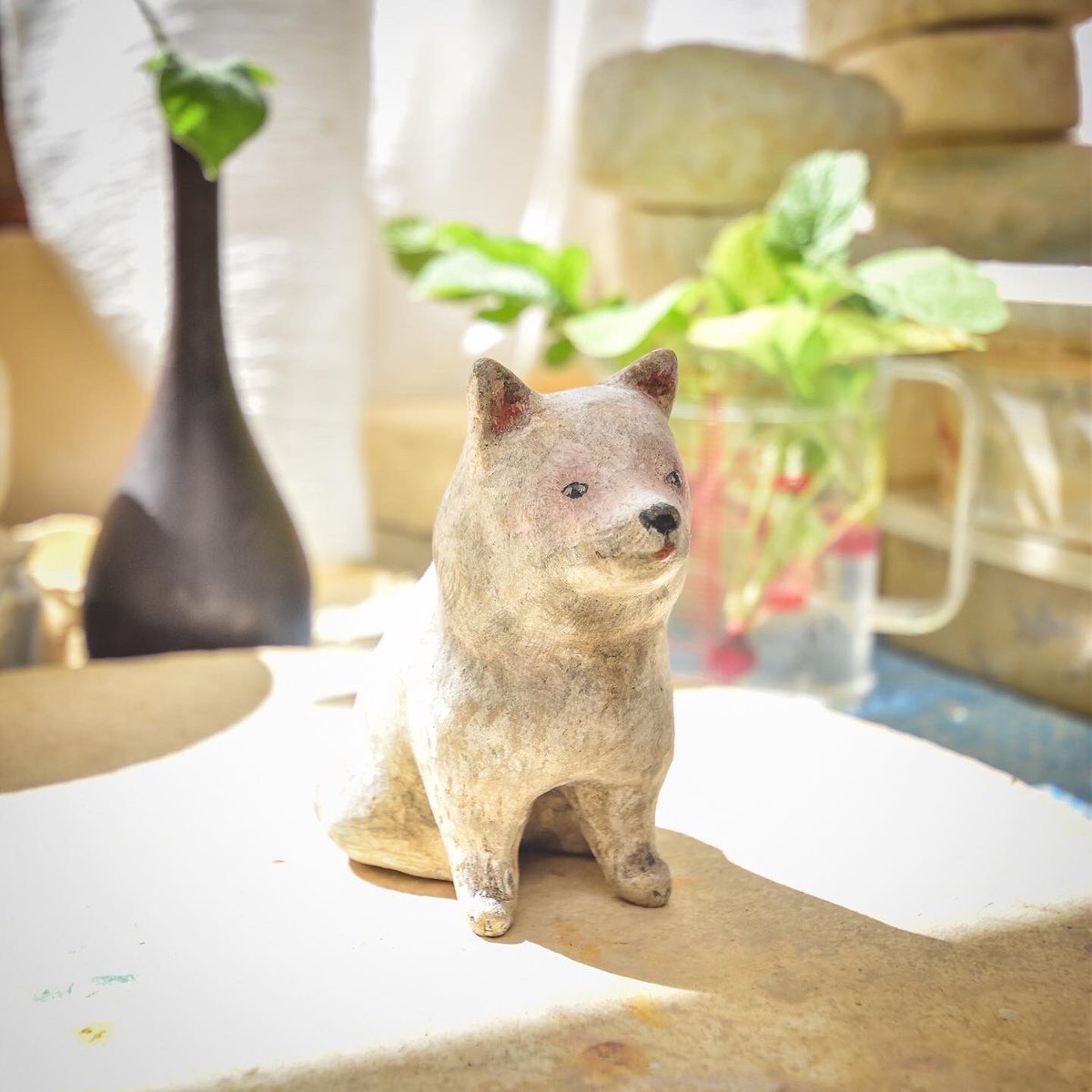 白い犬