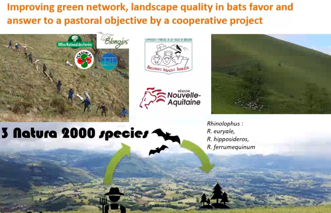 BioGeoProcess's tweet photo. Marine Vilarelle presents work in #Pyrenees on Ecological networks <Trame verte et bleue> for #bats at #AlpineSeminar. Create corridors for species, between summer habitat and wintering roosts. Metapopulation dynamics essential @EU_ENV @Eurosite @naturvardsverk @_SLU https://t.co/2YvIqP71ll