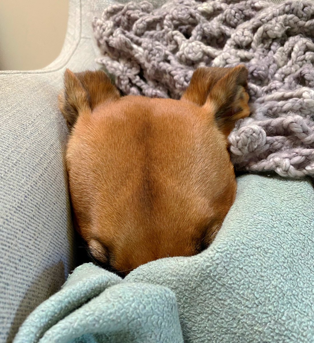 Emma Mitchell 💙 tweet media