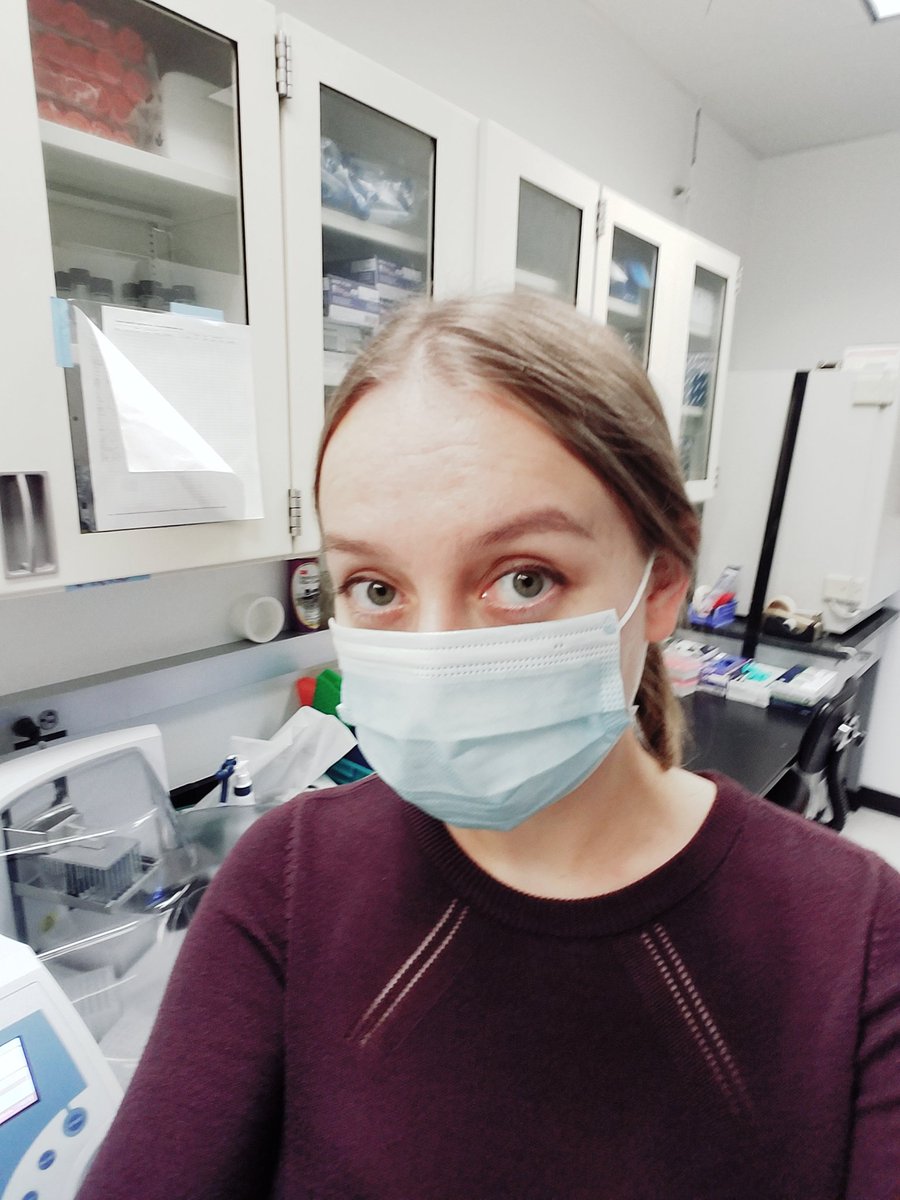 varvarakozyreva's tweet image. Here are my adventures for today: 9 am- doomsday sky (thanks to California wildfires). The rest of the day- COVID PCR (King Fisher extractor is saying hi). #CAFires2020 #COVID19 #fun2020 #everythingisfine