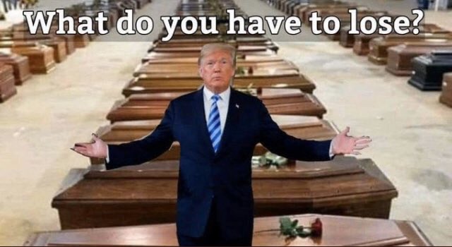 Trumpster4L's tweet photo. @SebGorka @HowieCarrShow @SalemMediaGrp #TraitorsSupportTraitorTrump #TrumpKnew #TrumpLiedPeopleDied https://t.co/iOP46HOUCj