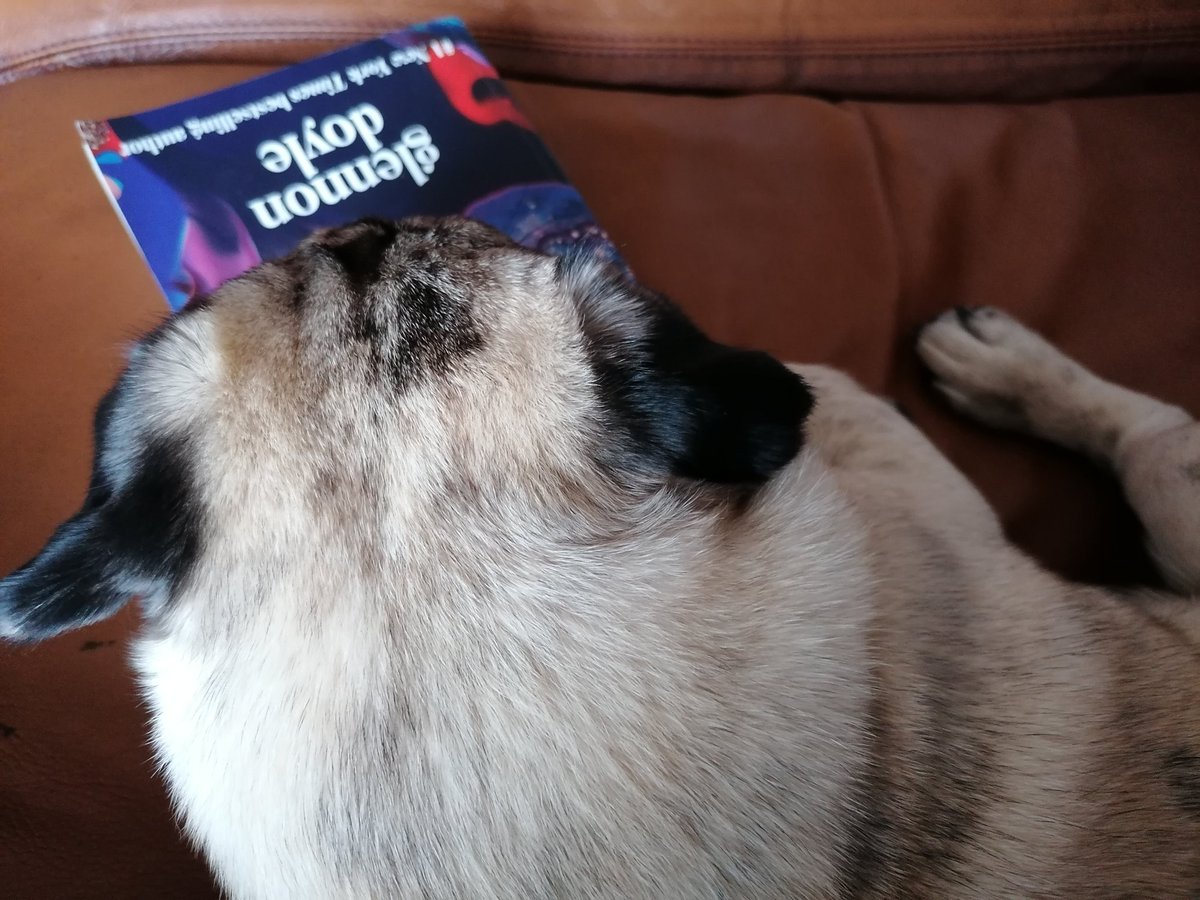 JensonPug's tweet photo. No mummy you cannot read your new book its a very nice pillow.
#bookrest #puglove #pugchat #jenson #dogsoftwitter https://t.co/RetNGL4HnI