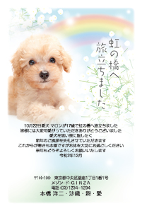 Cardbox年賀状 挨拶状印刷 Cardbox喪中はがき印刷 今年から大切な家族であるペットを亡くされた方向けの喪中はがき 虹の橋 デザインが登場しました イラストタイプ 写真入りタイプとございますので是非ご覧ください 最大57 Off 会員登録で送料 Cardbox年賀状 挨拶状印刷 Cardbox喪中はがき印刷 今年から大切な家族であるペットを亡くされた方向けの喪中はがき 虹の橋 デザインが登場しました イラストタイプ 写真入りタイプとございますので是非ご覧ください 最大57 Off 会員登録で送料