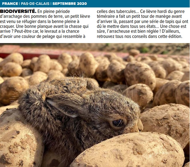 LucieDe_G's tweet photo. Si tu veux voir un petit #lièvre 🐇 en #PLS après un tour de manège 🎠 dans l'#arracheuse à #patates, ce sera demain dans @TerresetTerr_... 😬#teasing #photodelasemaine #ArracheuseBienRéglée https://t.co/inhEDyMd02