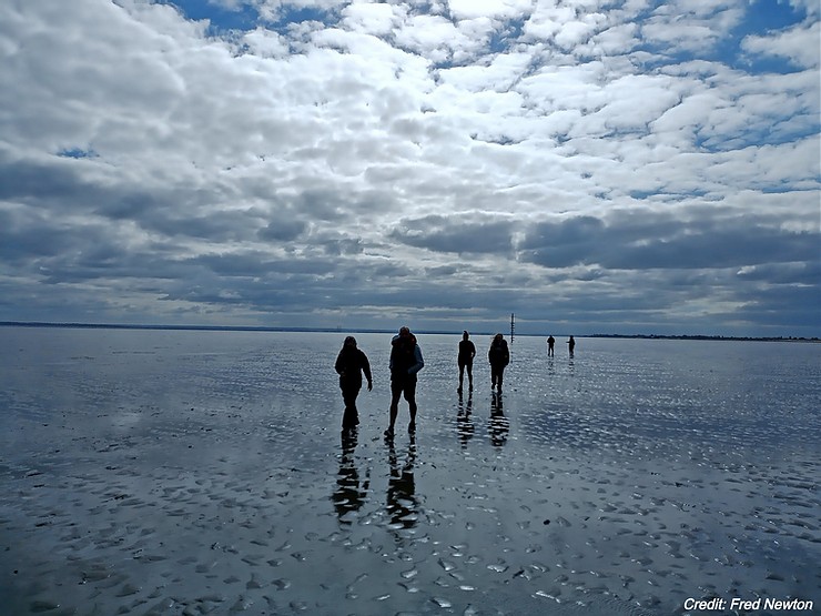Wildbase1's tweet photo. Wildbase took a group of intrepid early risers along an ancient footpath into the sea called 'The Broomway'.

Our fred explains more ....

https://t.co/gbXQkOEhIQ https://t.co/gqceG8LpY4