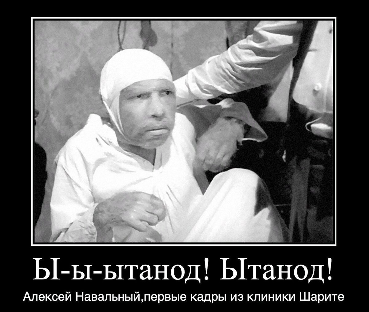 Кац-президент! on Twitter: "… "