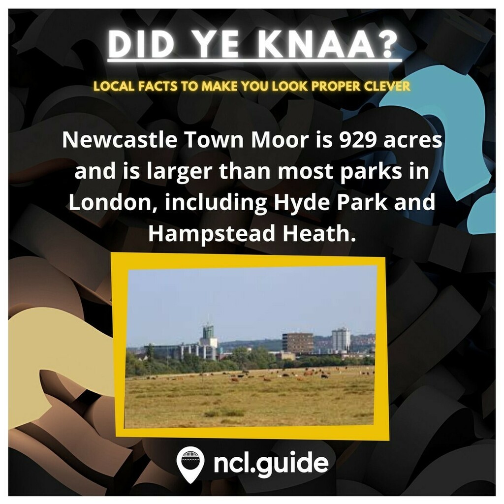 NCL_Guide's tweet photo. Well, did you impress your mates with your local knowledge about Lucozade?
Today we've got a little fact about the Town Moor.
#nclguide #newcastle #newcastleupontyne #newcastlepubs #townmoor #tyneside #nefollowers #northeastengland #tyneandwear #facts https://t.co/p2ud6wo5S2