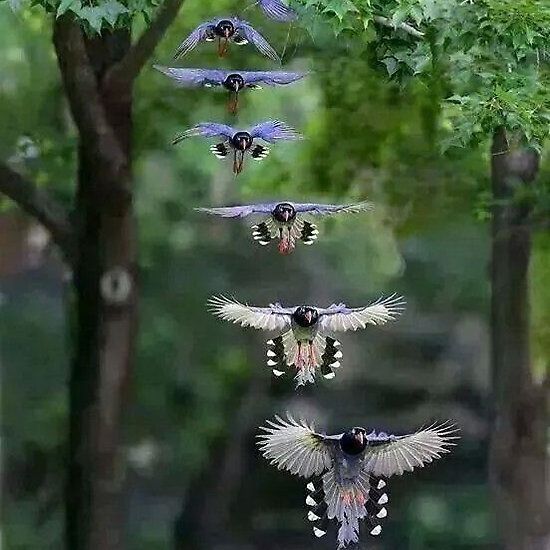 It's your birds day my friends
#photos #photography #animals #birds