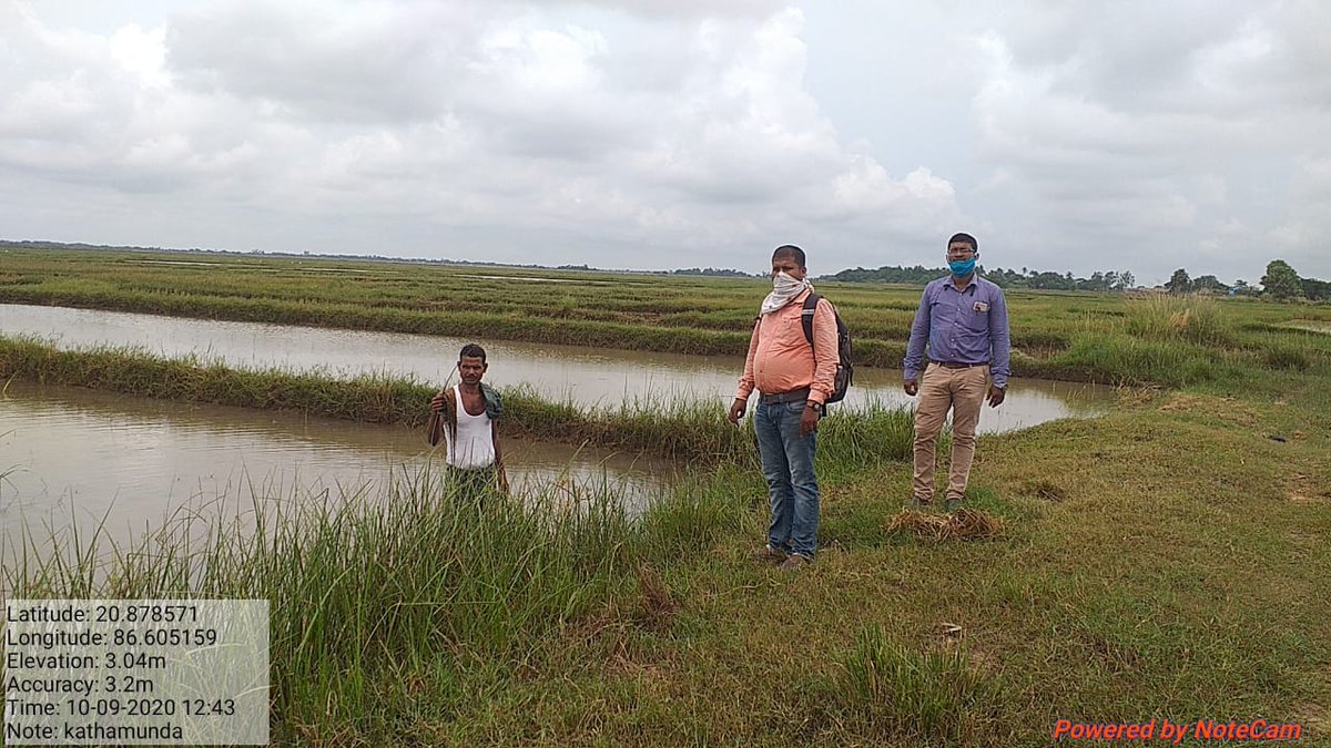 TAHASILDAR DHAMNAGAR tweet media