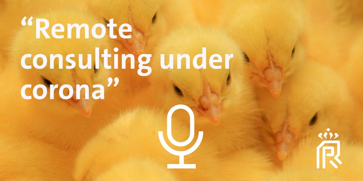 PasReform's tweet photo. Next Hatchery Talks podcast is streaming now on Spotify: 
 https://t.co/WSwFovZpj4 and our website: https://t.co/LsYJlolxIJ #Podcast #HatcheryManagement #PasReformAcademy #ConsultingUnderCorona https://t.co/xuxXp0DU0G