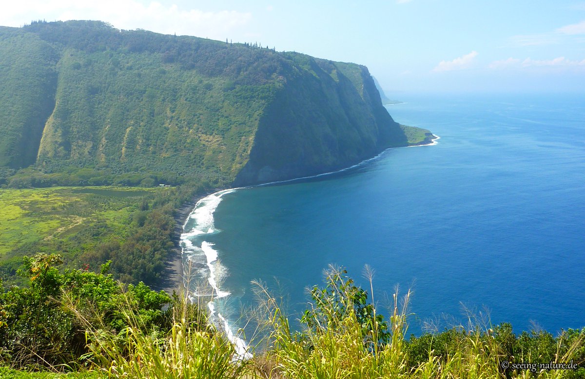 Seeing_Nature's tweet photo. August was the Month of the #Sea! In memories at least. And here are the highlights: from rough azure #beaches and wild bays of #Hawaii, to surreal pink #sunset in Barbados and hopeful sun patch on the surface of the Adriatic Sea in Croatia.

#summer #nature #moments #bythesea https://t.co/nBhJQRMo3Q