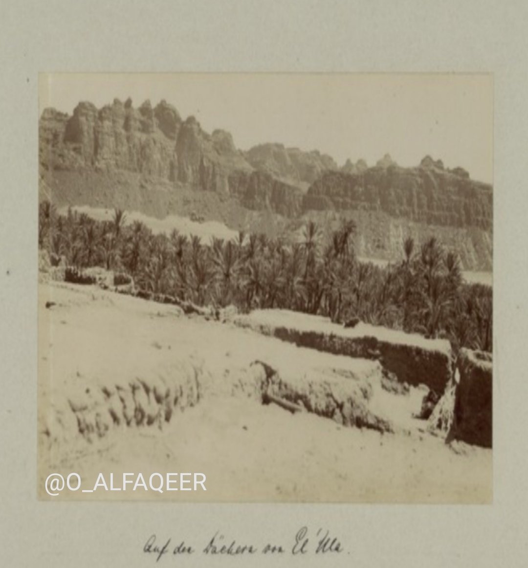 صورة لمزارع العلا عام 1908 م .

#العلا
#AlUla