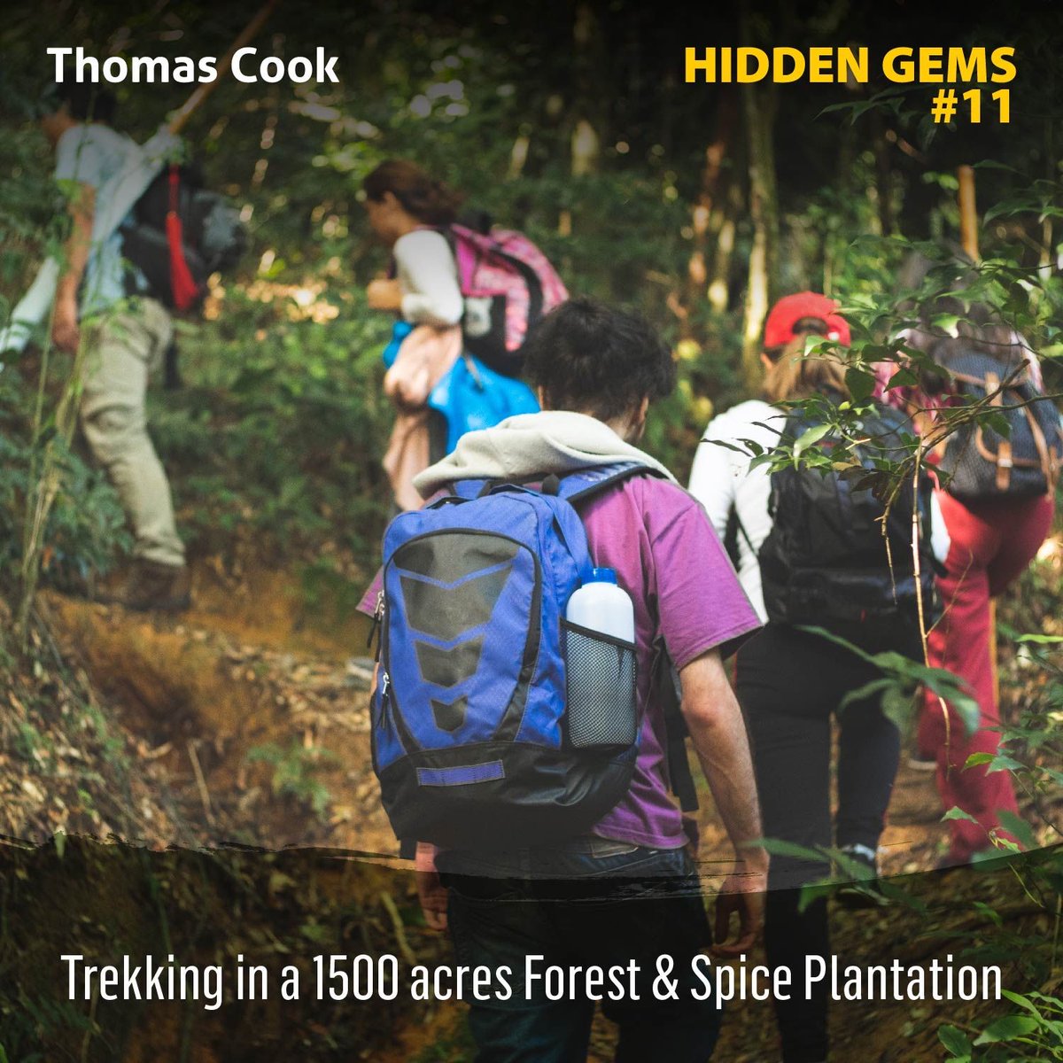 tcookin's tweet photo. #ThomasCook brings you the next destination from #HiddenGems of India - Thekkady, Kerala
Surrounded by a #coffee, #tea &amp; #spice plantation, this amazing property is set on a hillock. From plantation walks to trekking, we have it all.For more details, click https://t.co/kETkhkOxiY https://t.co/uu05ExxpiJ