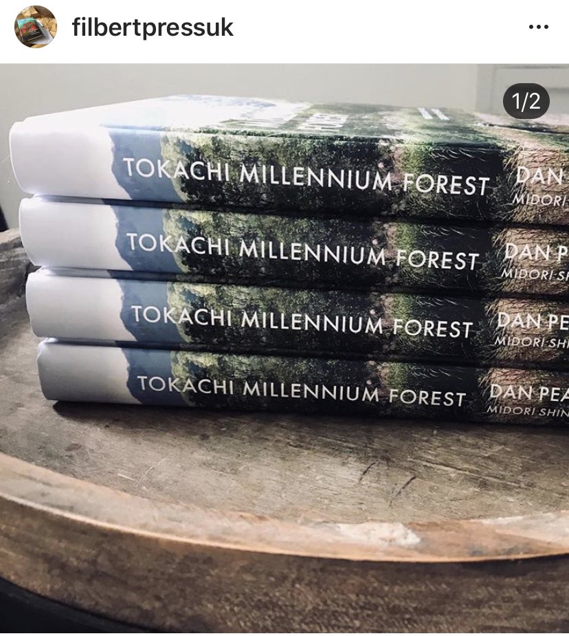 Ella Elliott tweet media