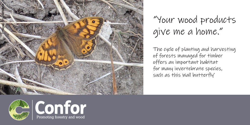 forestsandwood's tweet photo. Challenge your perceptions.The UK's wood producing forests are a key habitat for many invertebrate species.
Want to know more?
https://t.co/tnXtASe2vV
#biodiversity #diverseforests #butterflies #woodland #TheFutureIsForestry #habitats #ThinkGlobalPlantLocal #natureemergency https://t.co/owSwW1NQzO