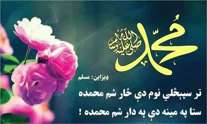 NN00ri's tweet photo. ♧☆ـ﷽ـ☆♧
نن د جمعی مبارڪه شپه ﺩﻩ
ﺩﺭﻭﺩ ﺷﺮﻳﻒ ﭘرحضرت ﻣﺤــﻤﺪﷺ ﻭﻭﺍﻳﺎﺳﺖ. https://t.co/rkVlfWgadd