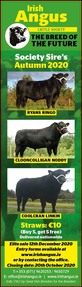 Irish Angus Cattle Society (@cattleangus) on Twitter photo 
