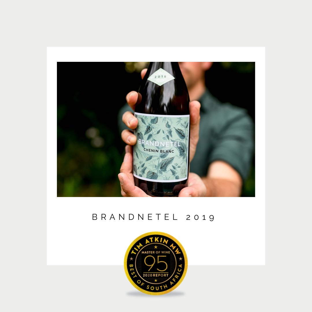 thistle_weed's tweet photo. Thrilled to have two wines in the 95 point club as part of @timatkin latest #sareport2020! Brandnetel Chenin blanc from Stellenbosch and Khakibos, a Cape White blend of Verdelho, Chenin Blanc and Chardonnay! #DrinkChenin #TimAtkinreport2020 @CheninBlancSA https://t.co/NBtCpFfBL0
