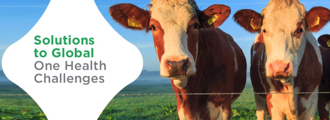 COVID-19: from wildlife market to wild financial market - Interested in our One Health research? Register now for our Annual Science Meeting - October 29 - Virtual Meeting - Live from Amsterdam this time! us4.list-manage.com/survey?u=05868… #ilovevirology #onehealth