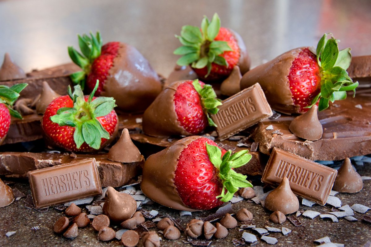 MagTours tweet media