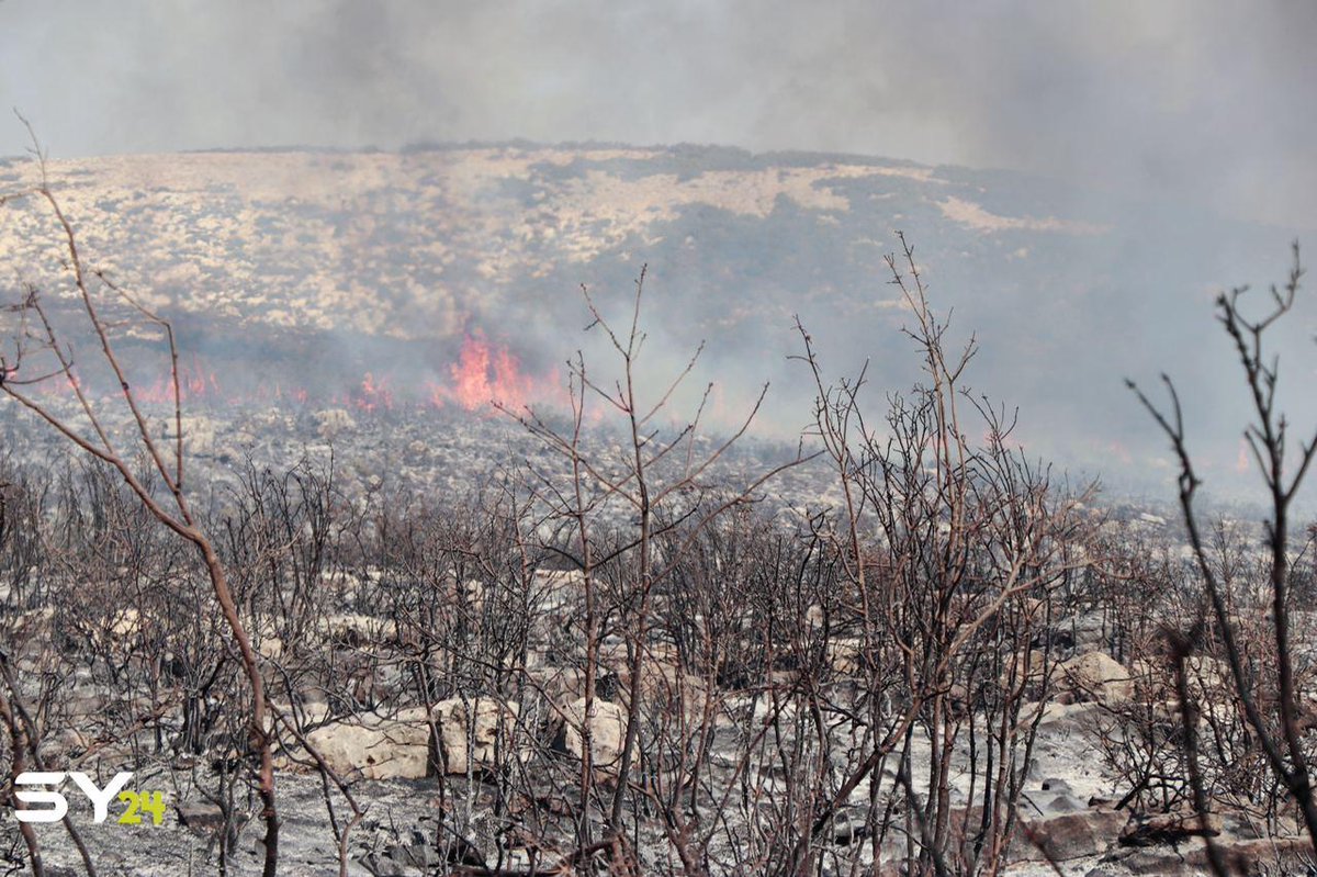 الدفاع المدني السوري يحاول السيطرة على الحرائق عقب وصولها إلى ريف جسر الشغور في إدلب، ويعمل على منع تمددها باتجاه المناطق التي تتواجد فيها المخيمات العشوائية.

🎥 أيهم البيوش

📍سوريا، إدلب، جسر الشغور

📆10/09/2020