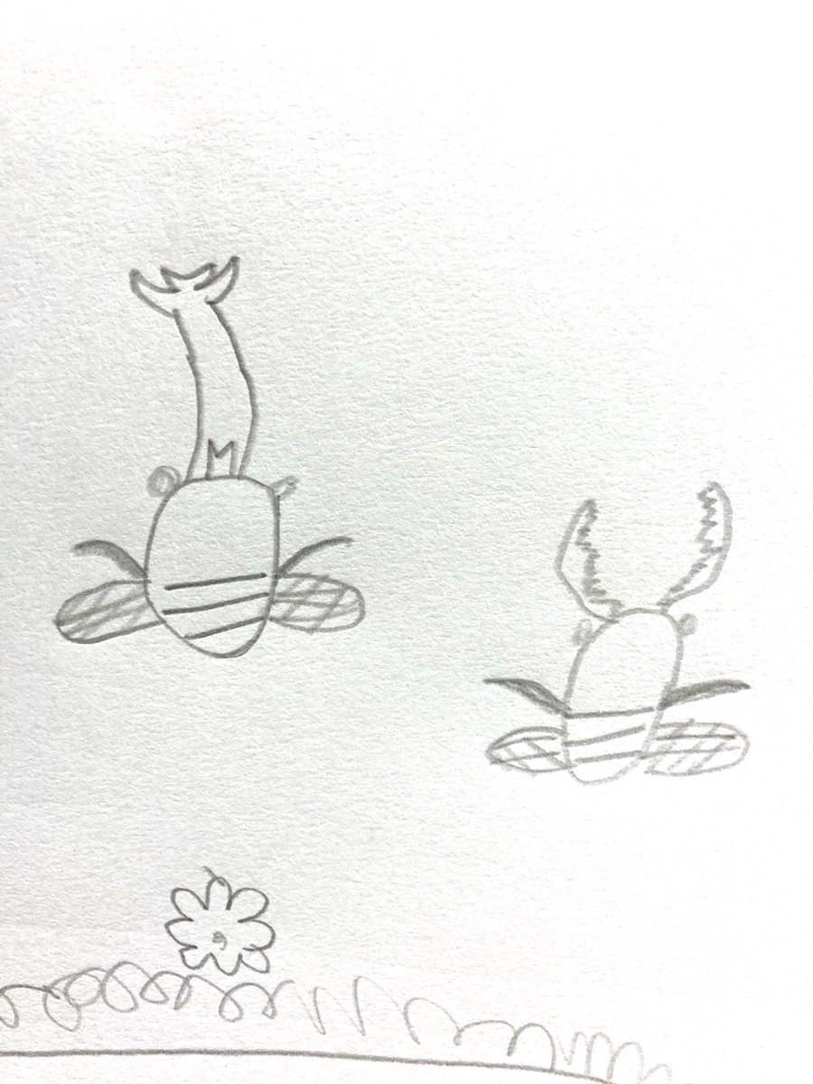 息子の描く昆虫たち。1枚目はカブトのカップル、2枚目はモンシロチョウ。胴の太さよ…!
まるっこくて萌えるのです☺️ 