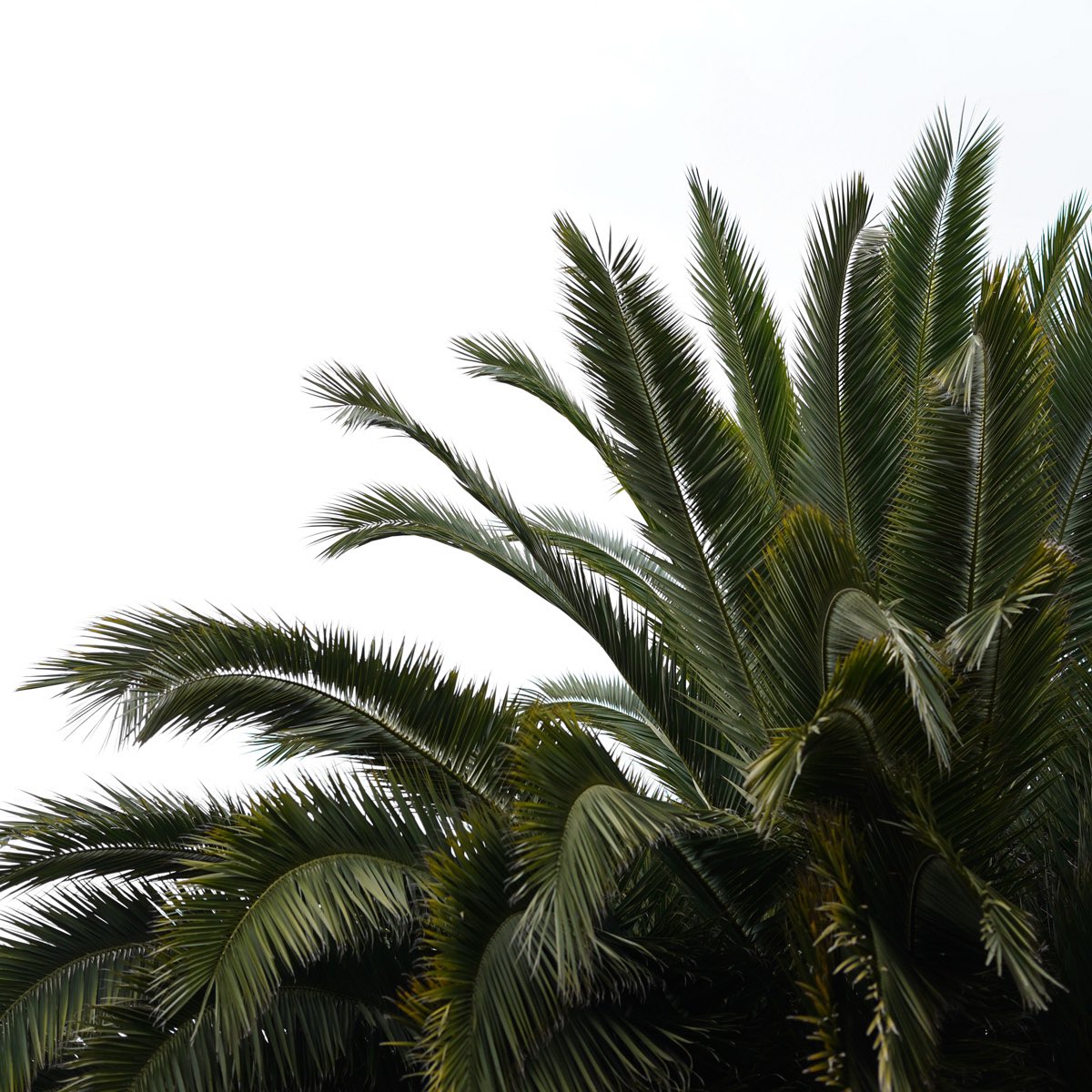 Kip Hotel tweet media